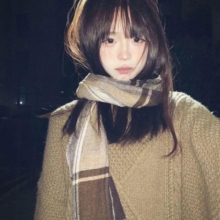 案中案