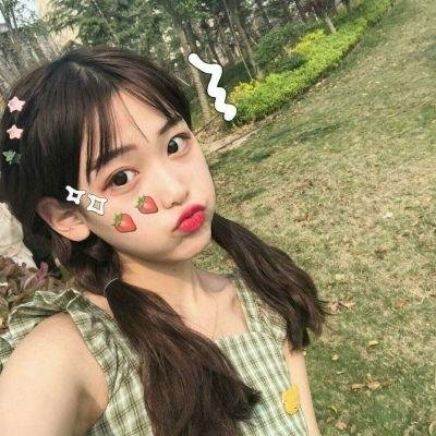 完美的主人